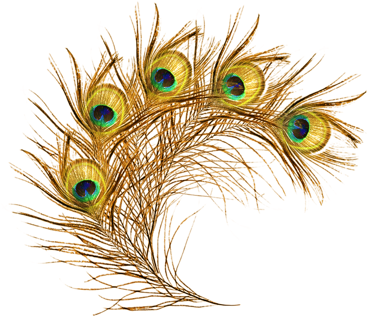 Jai Shri Krishna May Krishna's Blessings Bring You - Png Transparent Peacock Feather Clipart (1000x1000), Png Download