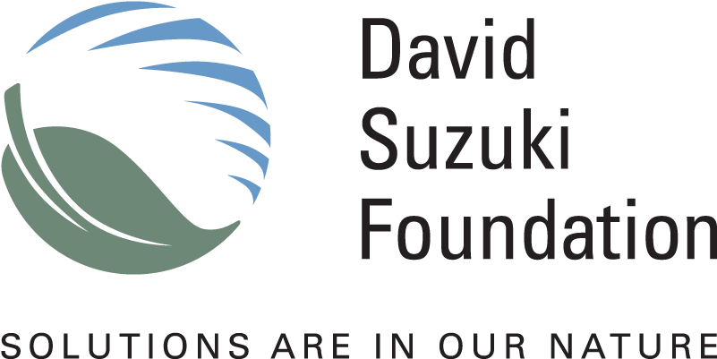 Federal Changes Needed To Meet First Nations Drinking - David Suzuki Foundation Logo Clipart (812x410), Png Download