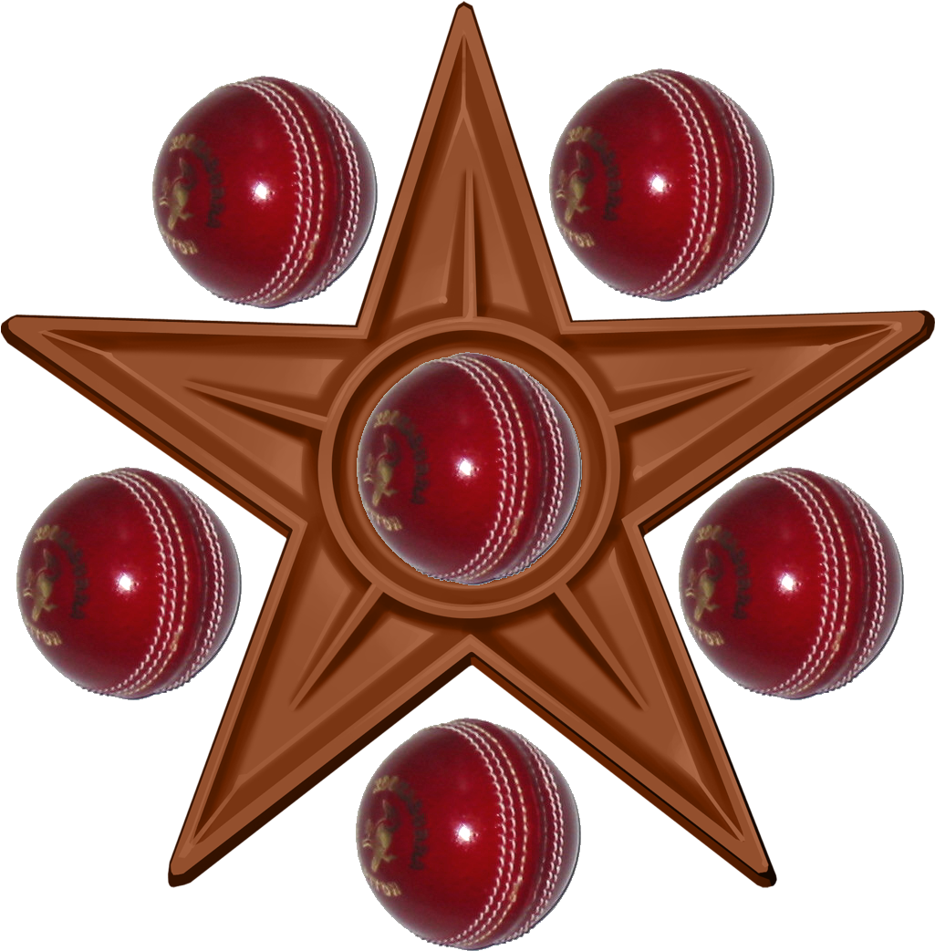 Cricket Bowler Barnstar - Cricket Ball Clip Art - Png Download (1134x1134), Png Download