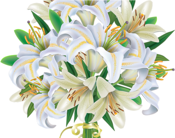 Tulip Clipart Flower Bokeh - Bouquet Png White Flower Transparent Png (640x480), Png Download