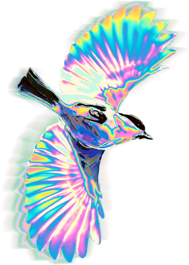 Bird Sticker - Phasianidae Clipart (1024x1024), Png Download
