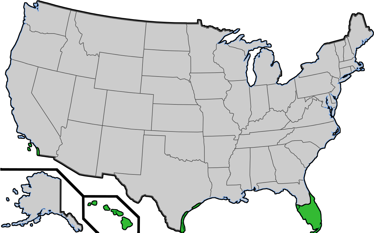 File - Coconutpalmsus - United States Of America Clipart (1280x791), Png Download