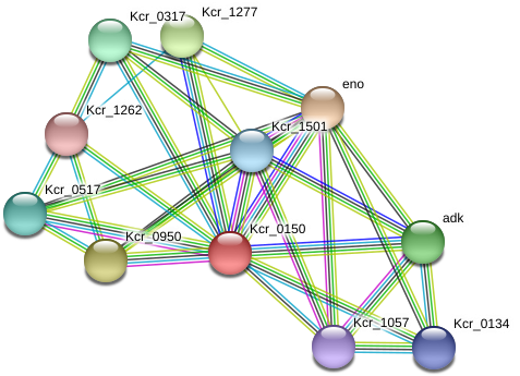 Circle Clipart (975x381), Png Download