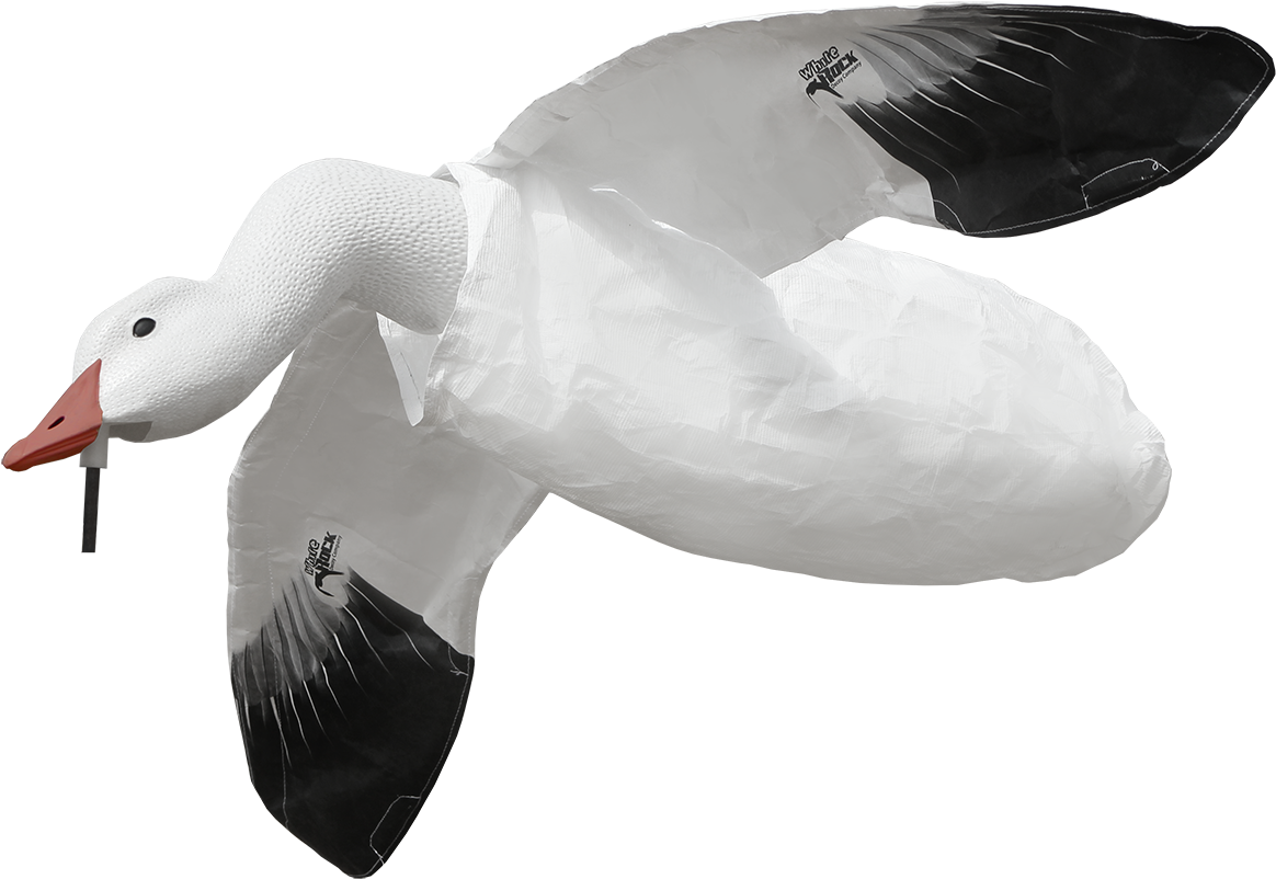 White Rock Decoys Clipart (1222x864), Png Download