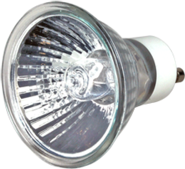 Halogen Light Bulb Png Picture - Halogen Light Bulb Png Clipart (800x800), Png Download