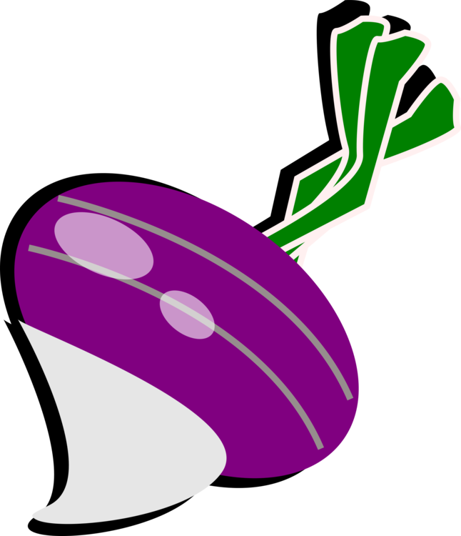 The Gigantic Turnip Vegetable Radish Computer Icons - Clipart Of Turnip - Png Download (646x750), Png Download