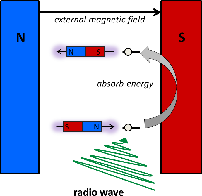 Nmr External Magnetic Field Clipart (689x702), Png Download