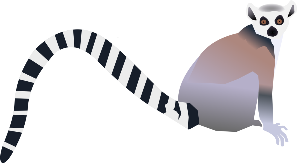 Technology Tips - Kangaroo Clipart (1024x563), Png Download