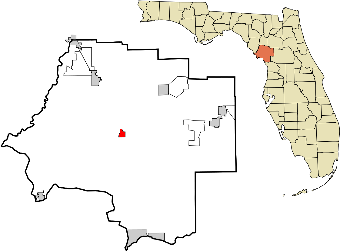 Otter Creek, Florida - County Florida Clipart (1200x867), Png Download