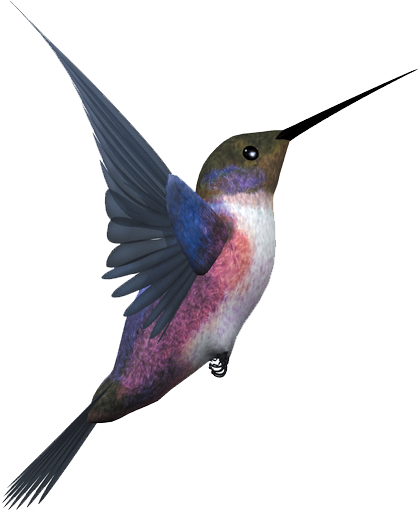 Flying Bird Png Free Clipart (838x635), Png Download