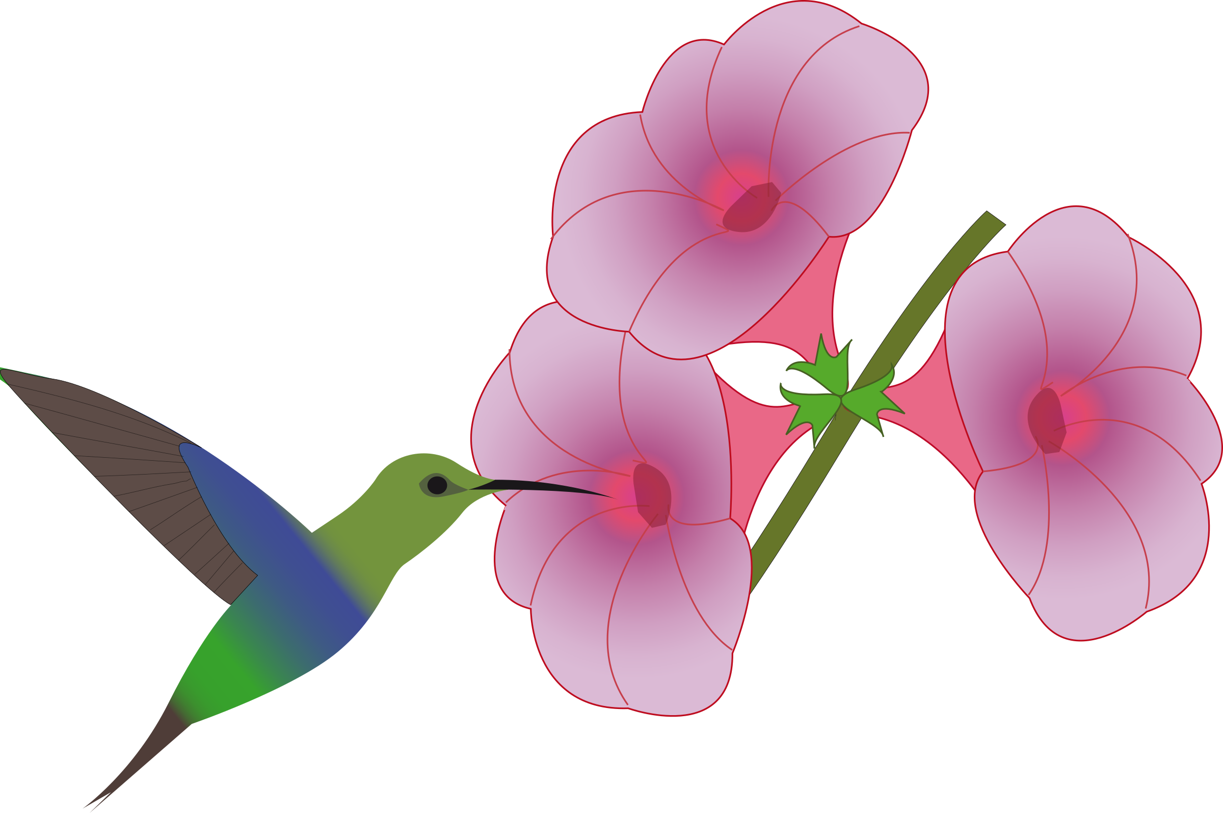 This Free Icons Png Design Of Pretty Hummingbird Clipart (2400x1595), Png Download