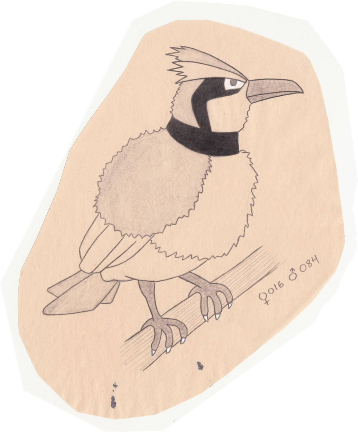 Tiny Bird Pokemon - Atlantic Puffin Clipart (1280x1481), Png Download