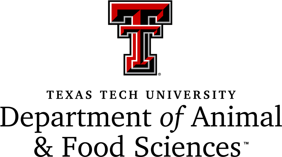 Ttu - Texas Tech University Clipart (1000x570), Png Download