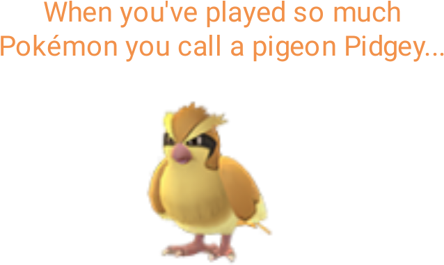 Look At Me Judgingly - Pidgey Pokemon Go Clipart (720x720), Png Download