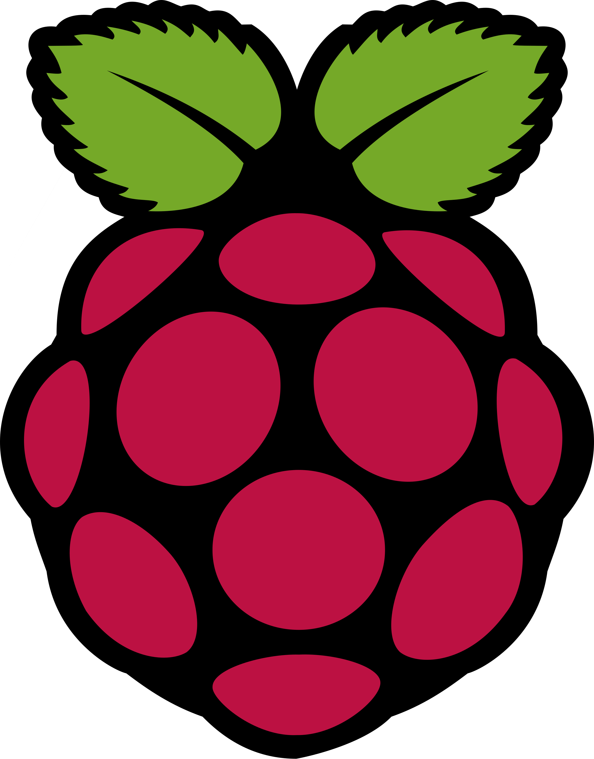 Raspberry Pi Logo Png Transparent - Raspberry Pi Svg Logo Clipart (2400x3066), Png Download