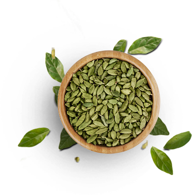 Cardamom - Pumpkin Seed Top View Png Clipart (694x694), Png Download