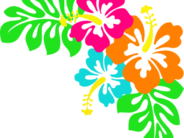 Tropical Flowers Cliparts - Hibiscus Clip Art - Png Download (640x480), Png Download