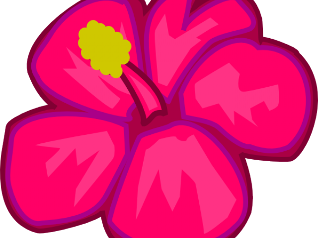 Hawaiian Flower Clipart - Flower Clip Art - Png Download (640x480), Png Download