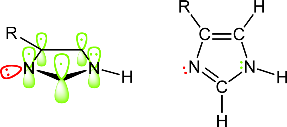 Imidazoles Pi Orbitals 2d - Molecular Orbital Of Histidine Clipart (1100x542), Png Download