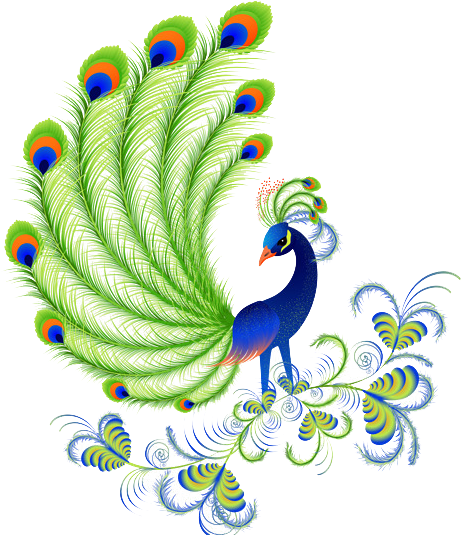 Peacock Picture In Cartoon Beautiful Clipart (650x551), Png Download