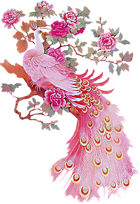 Would Love This Picture To Hang In My Bathroom - Pink Peacock Painting Clipart (480x699), Png Download