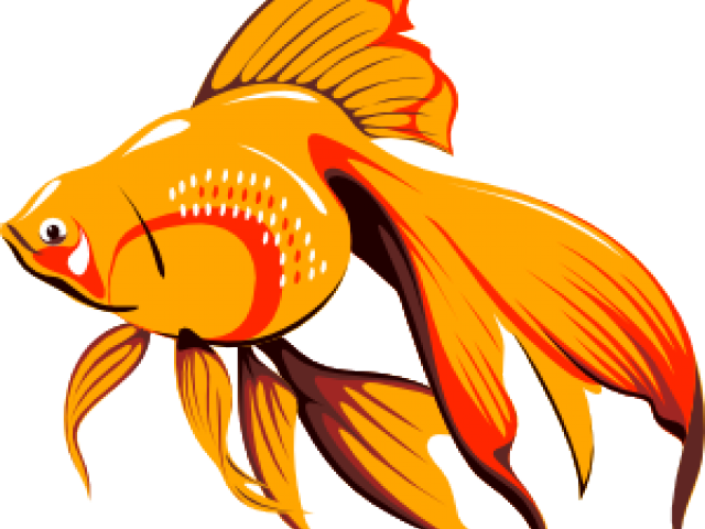 Fish Clipart Png Gif Transparent Png (640x480), Png Download