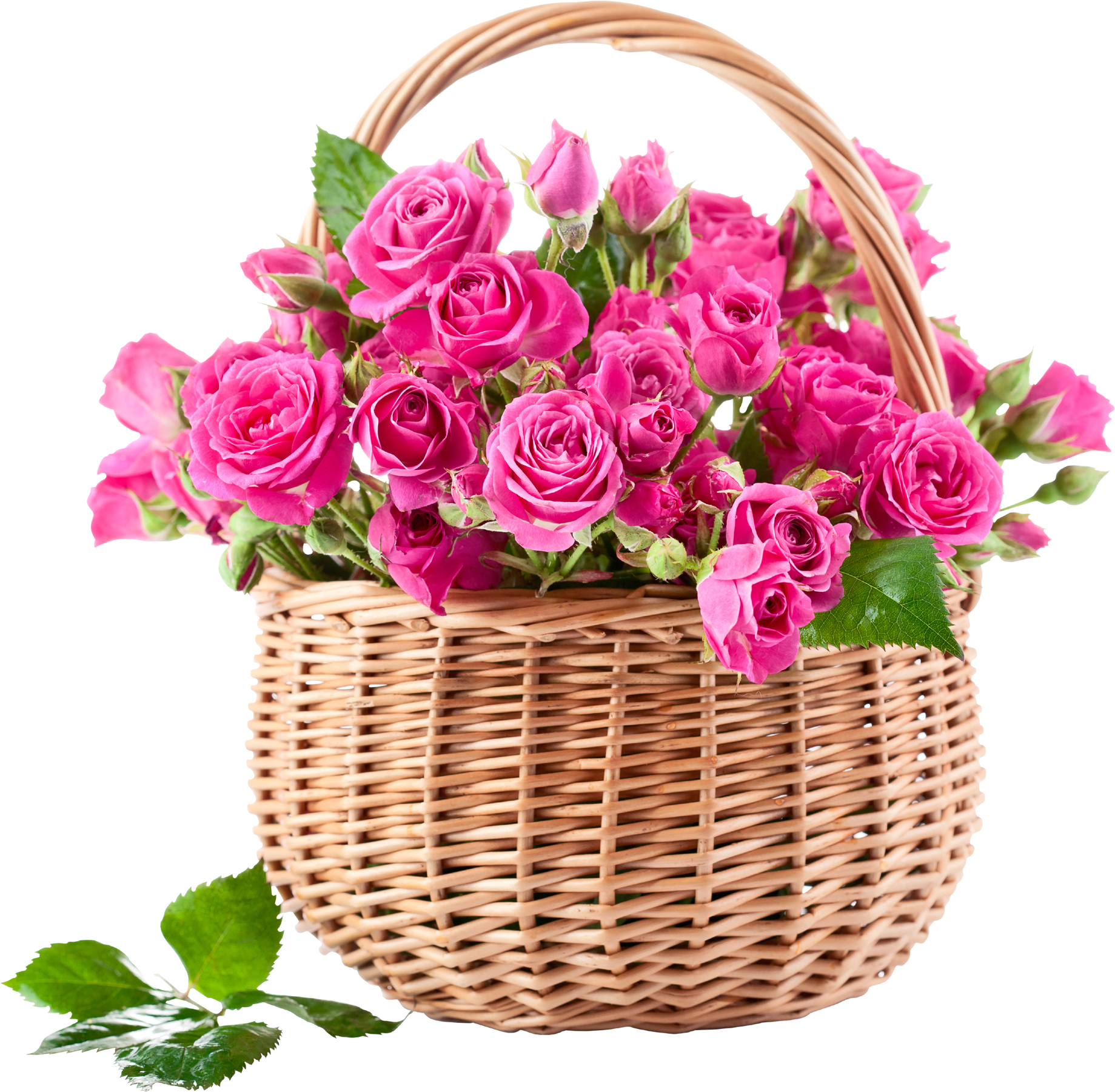 Pink Rose In Basket Png - Pink Rose Flowers Clipart (1839x1801), Png Download