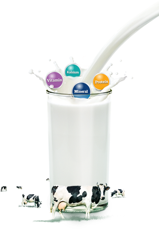 100% Milk From - Raw Milk Clipart (509x755), Png Download
