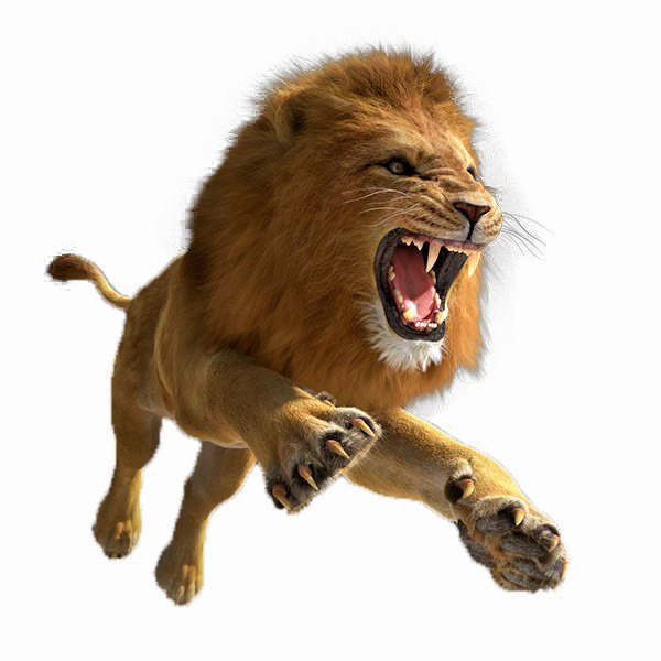 African Lion Png Image - Transparent Lion Png Hd Clipart (600x600), Png Download