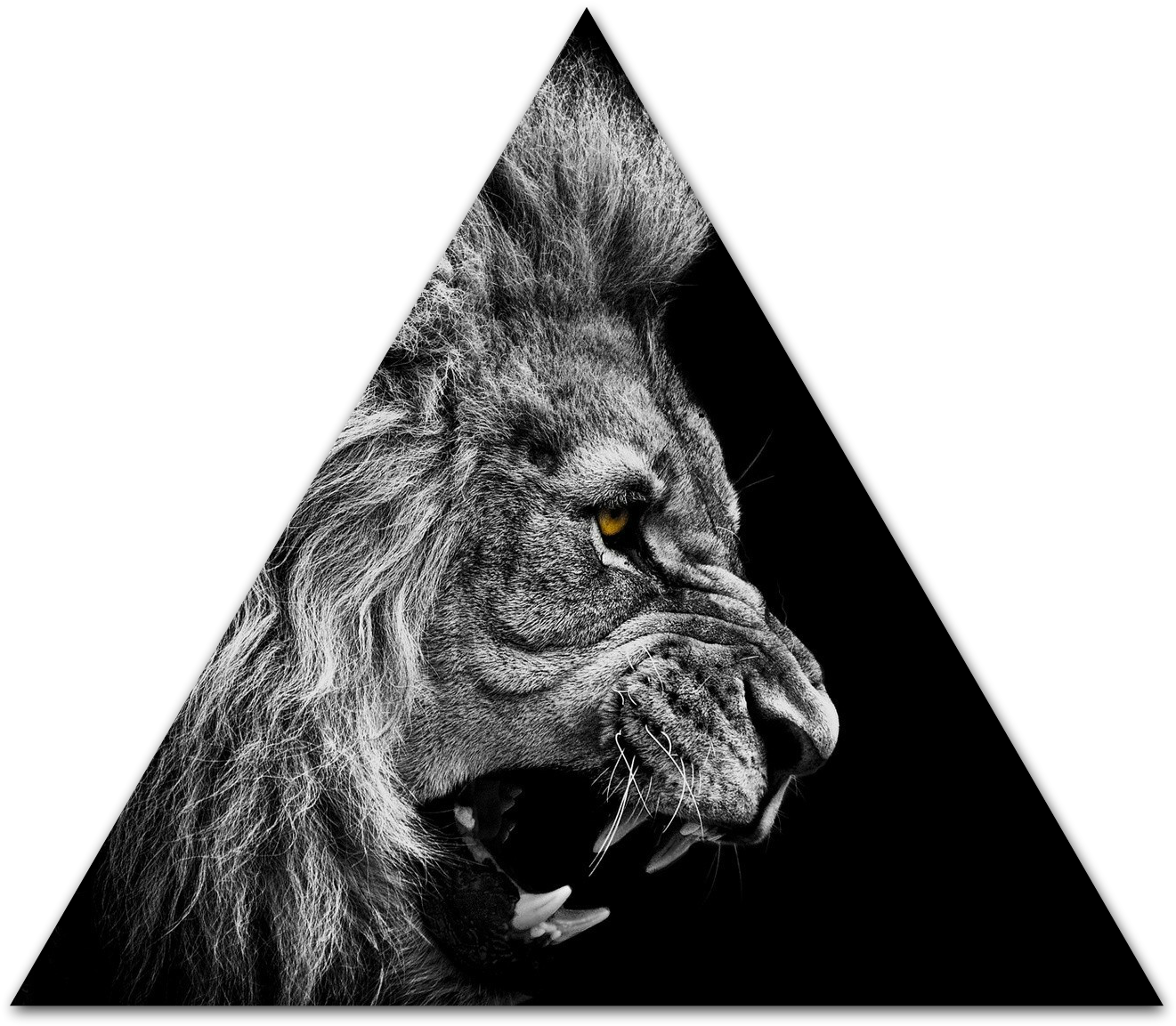 Lion Roar Wallpaper High Quality Clipart (1321x1153), Png Download