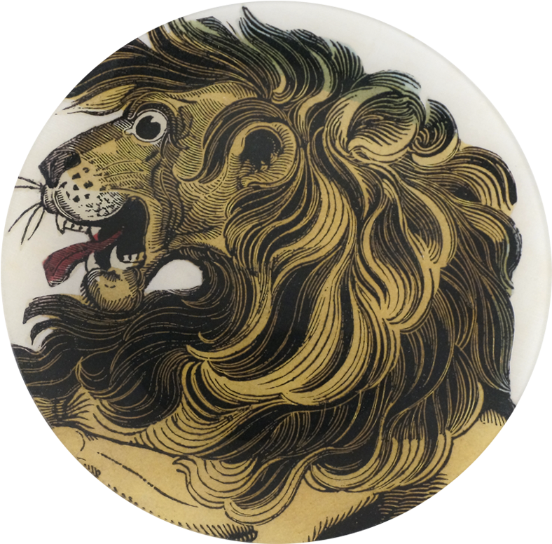 Masai Lion Clipart (800x800), Png Download