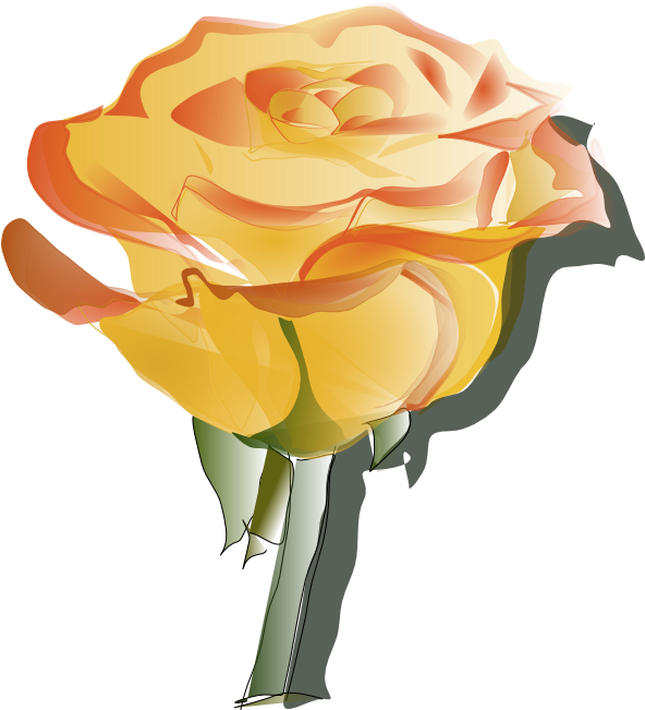 Yellow And Orange Blossom - Yellow Rose Single Gif Clipart (605x650), Png Download