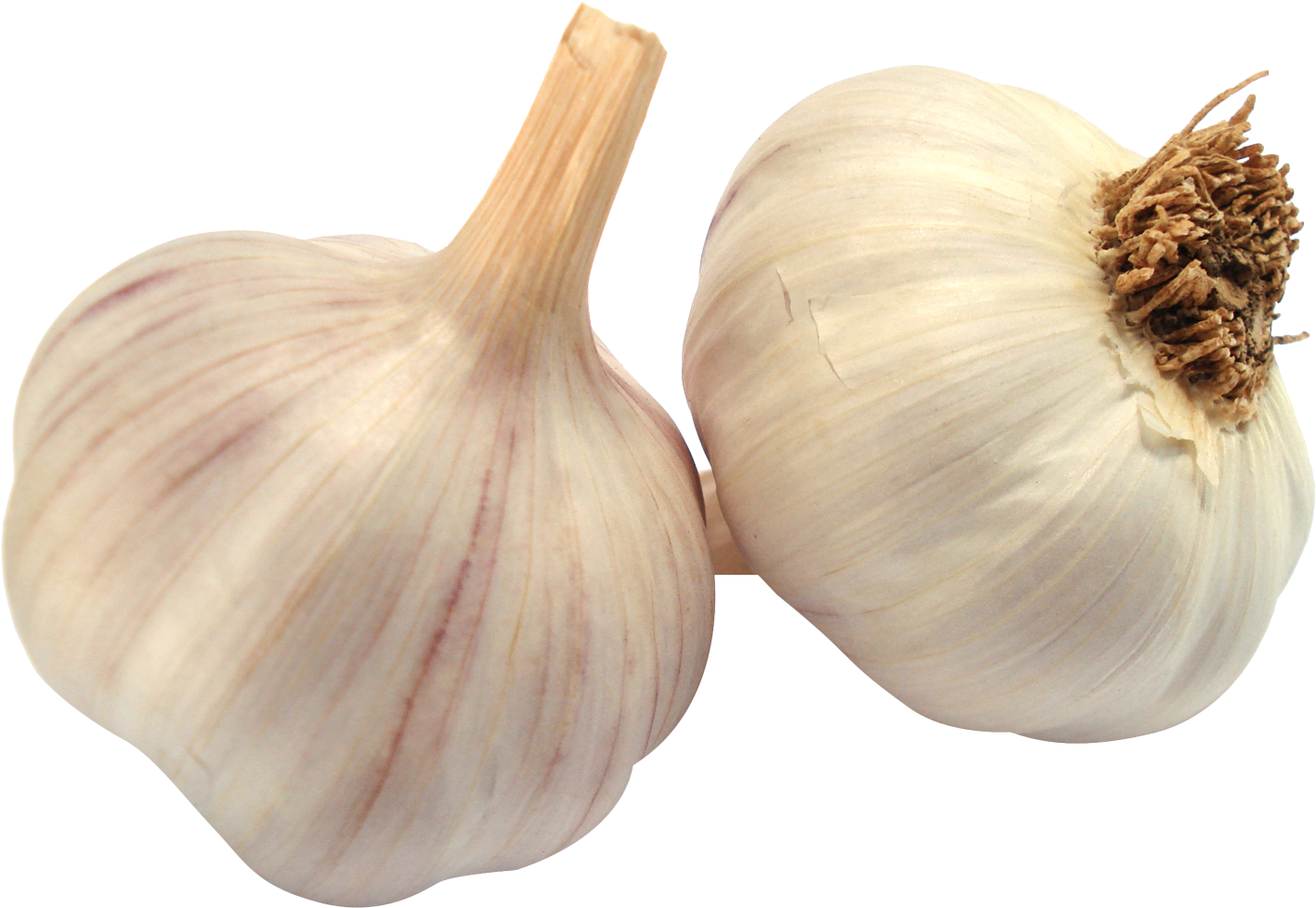 Garlic - Garlic Png Clipart (1624x1199), Png Download