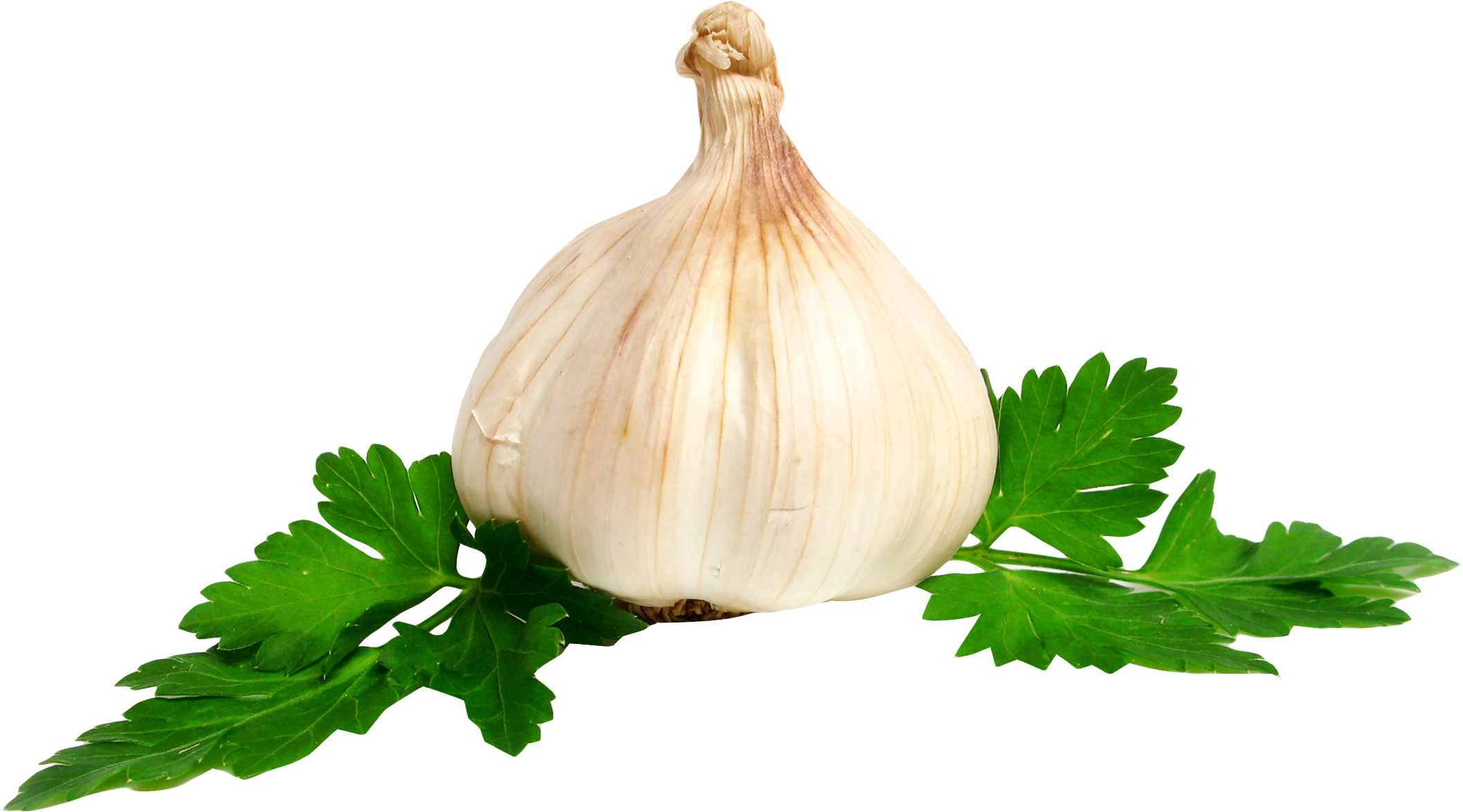 Garlic - Garlic .png Clipart (2185x1259), Png Download