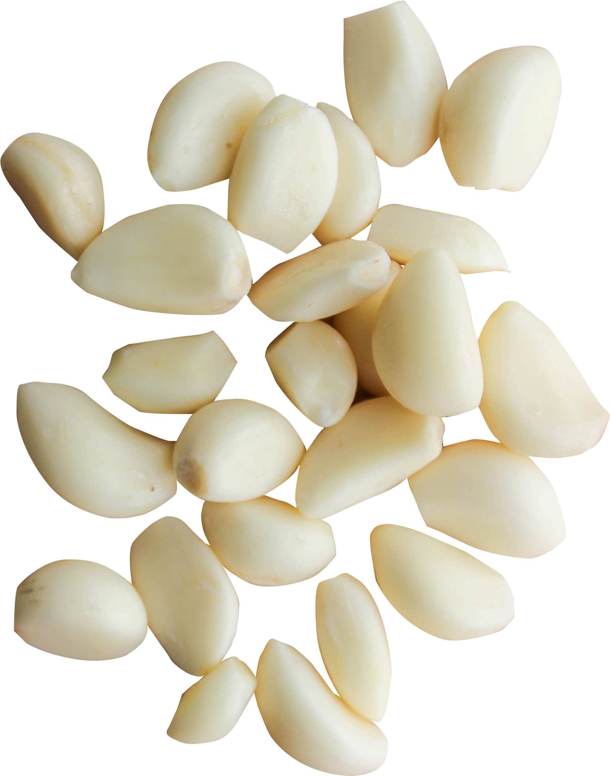 Garlic Png Clipart (2520x2631), Png Download