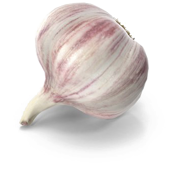 Garlic Png Free Download - Garlic Clipart (600x600), Png Download