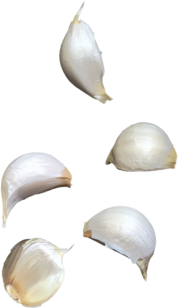 Garlic Clipart (866x650), Png Download