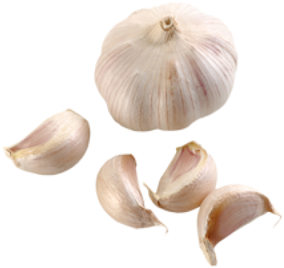 Garlic Free Png Image Download - Garlic Clipart (600x567), Png Download