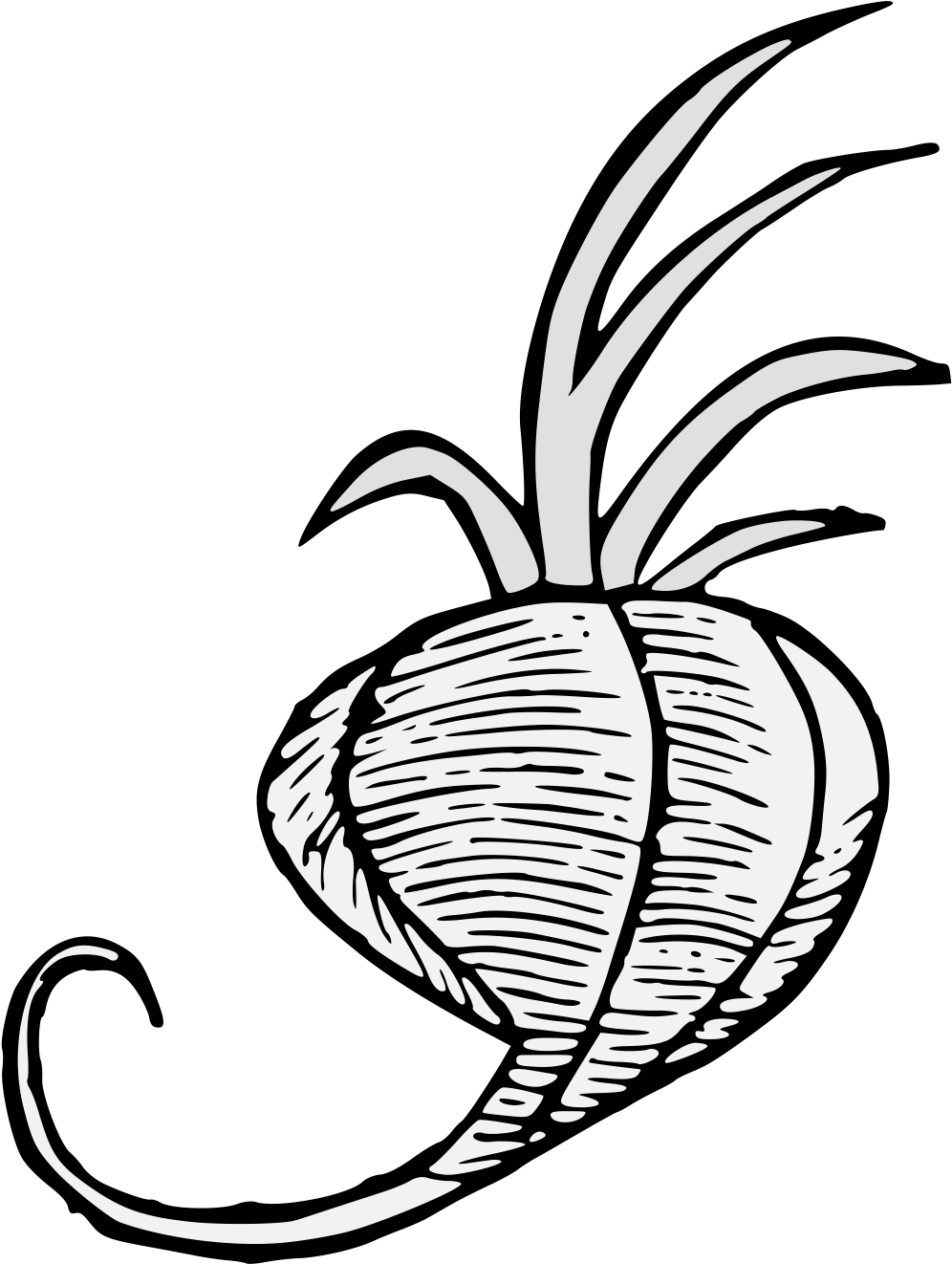 Details, Png - Illustration Clipart (1031x1349), Png Download