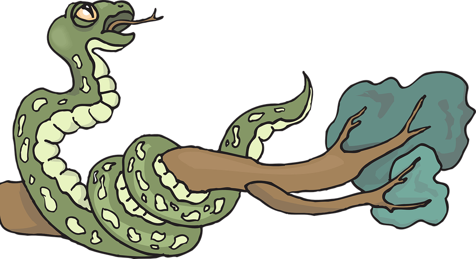 Clip Art Royalty Free Stock Collection Of Free Branches - Snake On A Branch Clipart - Png Download (960x522), Png Download