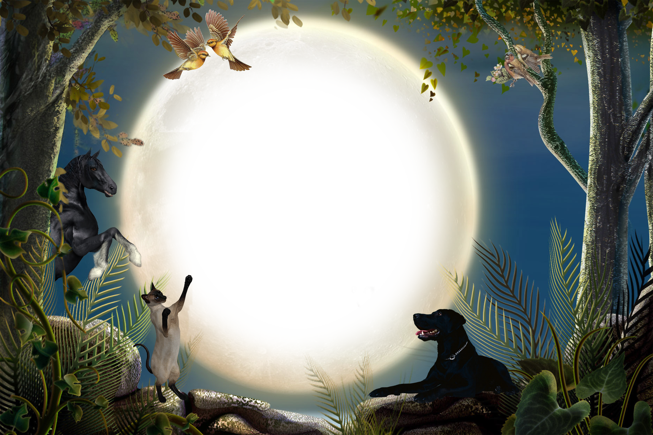 Friends Good Night Video Clipart (2200x1467), Png Download