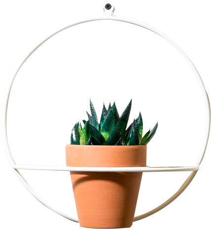 Circle Wall Planter - Flowerpot Clipart (933x1400), Png Download