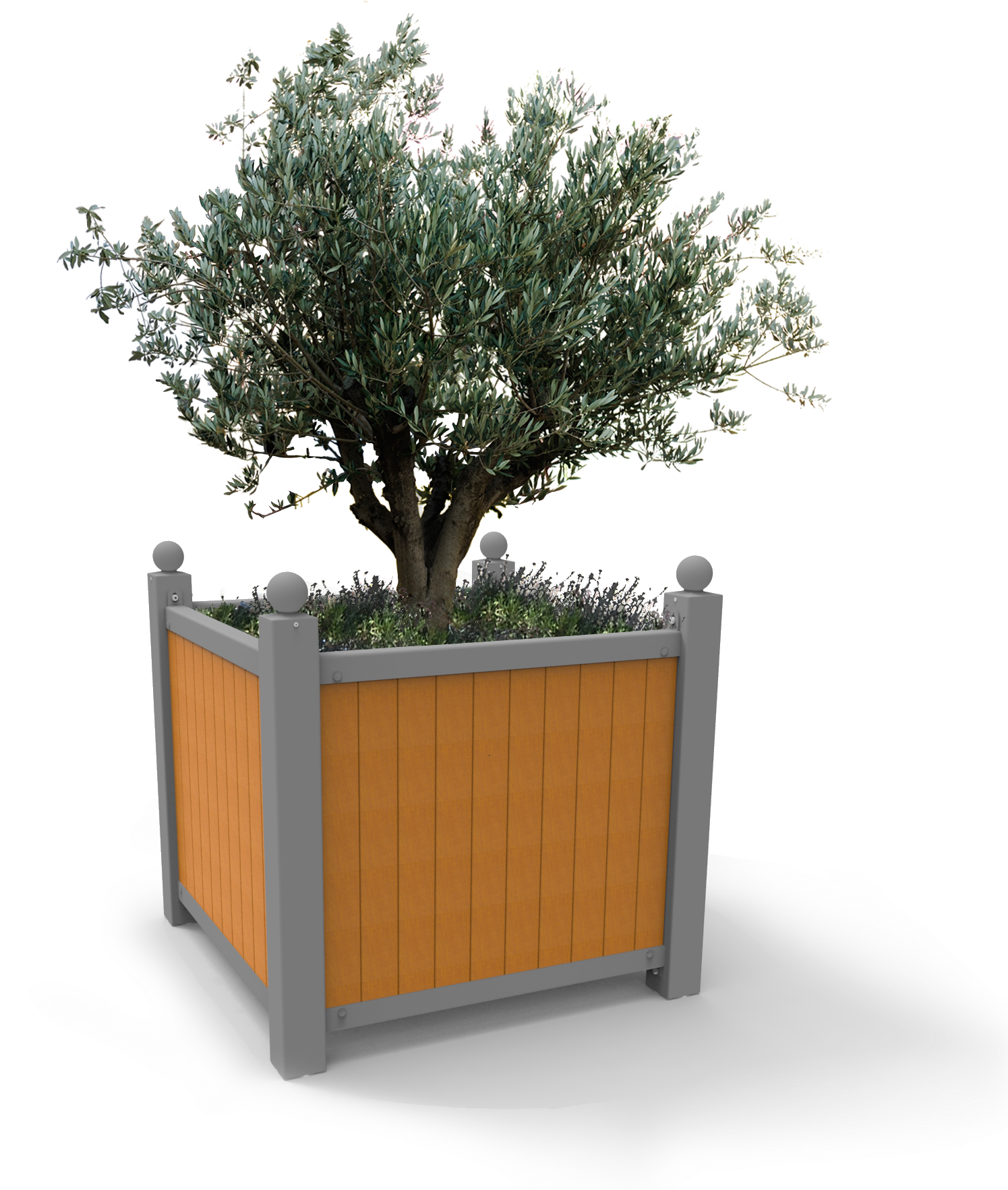 Optimise Your Street Planting Budget With The Roseraie - Street Tree Planter Png Clipart (1494x1872), Png Download