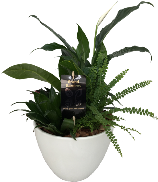 The Peace Lily Planter - Flowerpot Clipart (600x674), Png Download