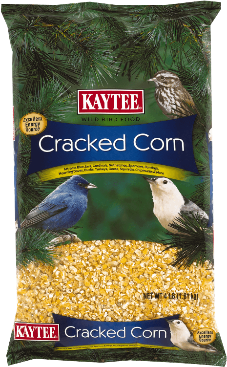 Budgies Eating Cracked Corn Clipart (750x750), Png Download