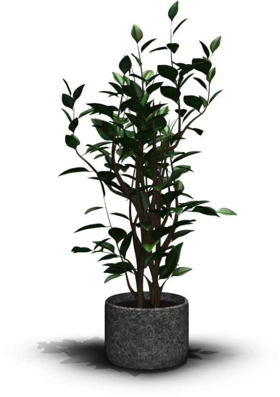 House Plant - Wardrobe Clipart (1000x1000), Png Download