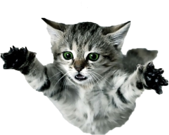 Flying Cat Png - Flying Kitten Clipart (1280x1024), Png Download