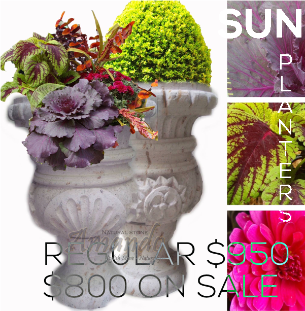 Amando Stone Sun Cup Planter - Bouquet Clipart (600x800), Png Download