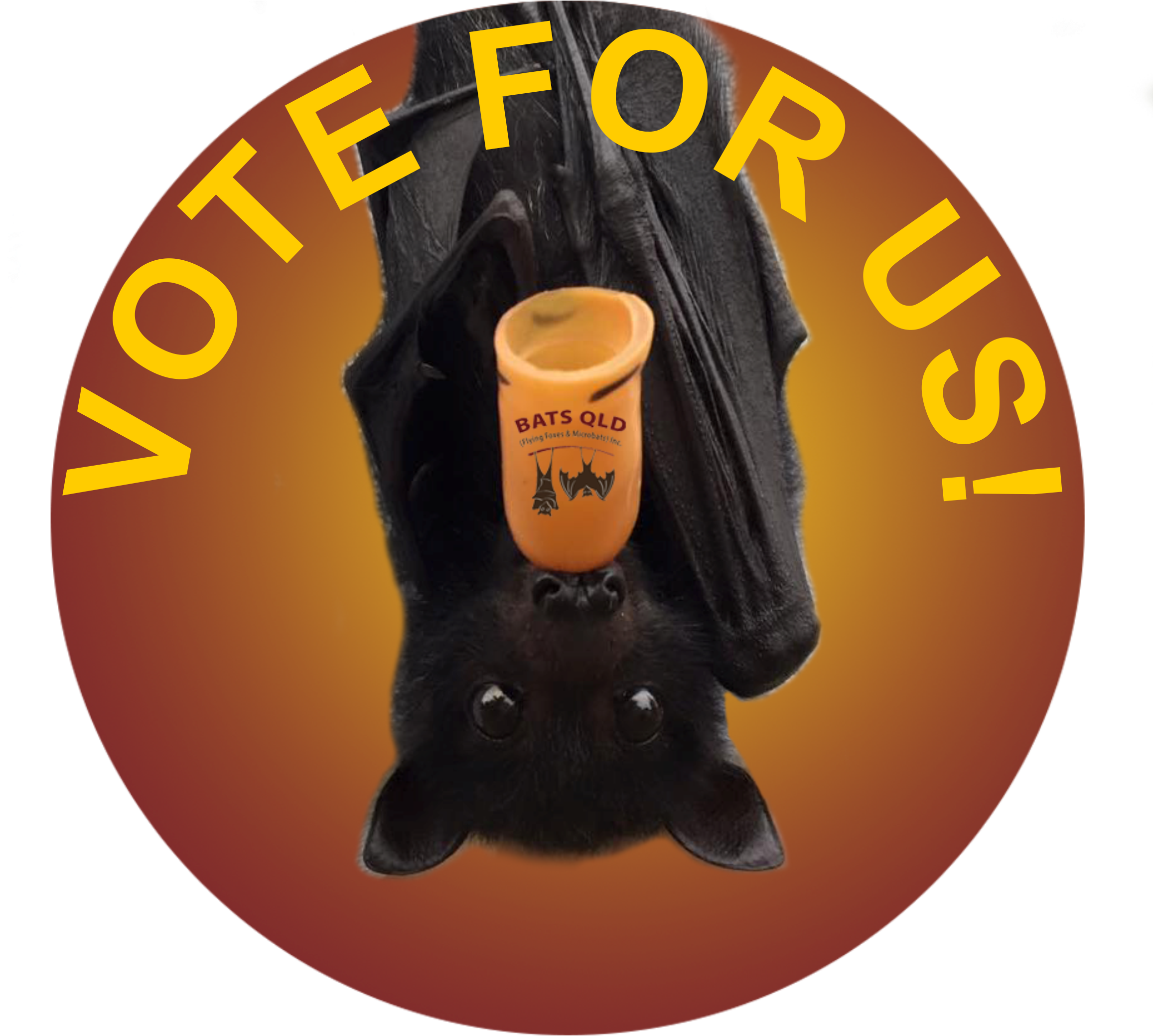 Testie - Black Cat Clipart (2408x2078), Png Download