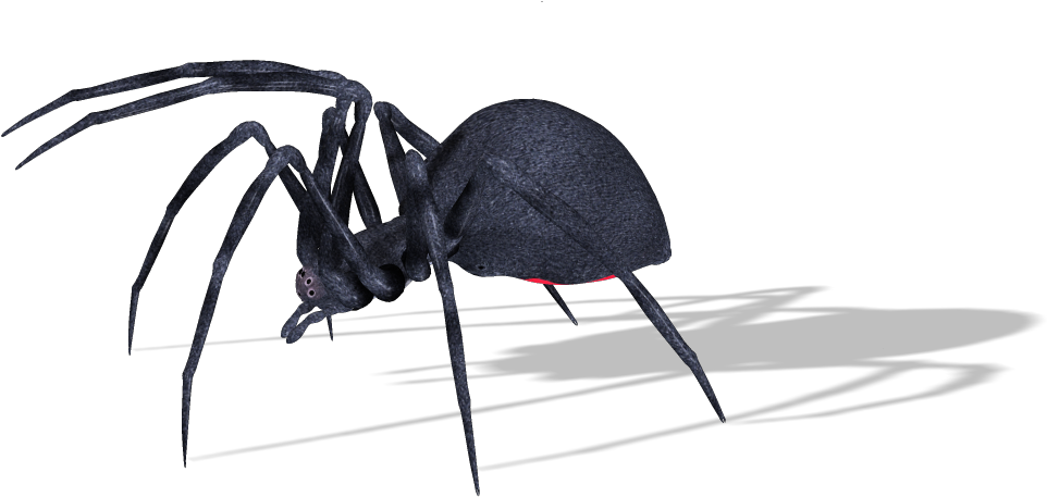 Ant Clipart (1026x530), Png Download